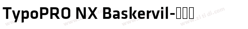TypoPRO NX Baskervil字体转换 TypoPRO NX Baskervil字体转换